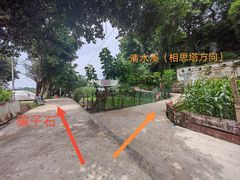 -南山植物园