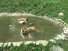 -西安秦岭野生动物园