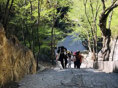 -北京上方山国家森林公园