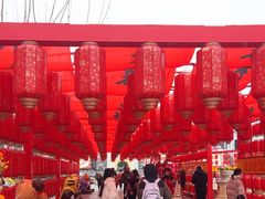 -青岛方特梦幻王国