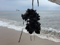 -东戴河风景区-止锚湾