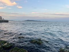 -悦海公园