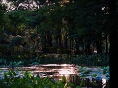 -广州珠江公园