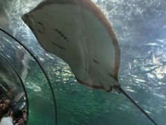 -洛阳龙门海洋馆