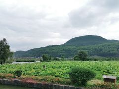 -比顿咖啡(和顺古镇店)