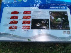 -海口火山口国家地质公园