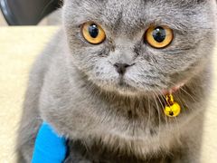 -艾贝尔宠物医院·狂犬免疫点(江山金象城店)