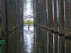 -渌洋湖湿地公园