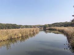 -同里国家湿地公园