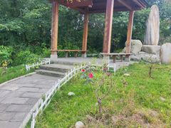 -都江堰玫瑰花溪谷