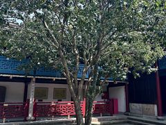 -东钱湖旅游度假区