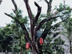-鹰潭站