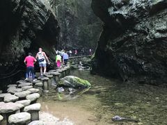 -牛背梁国家森林公园