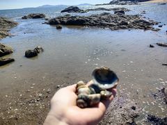 -兴城海滨风景区
