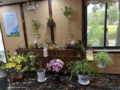 -新木器时代餐厅(太湖新天地店)