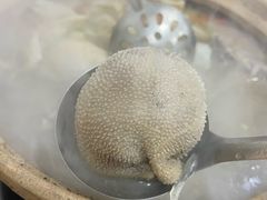 肚包肉-蔡记·九米羊肉炉(东渡店)