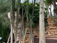 -北京植物园-展览温室