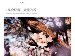 -西安青龙寺遗址景区
