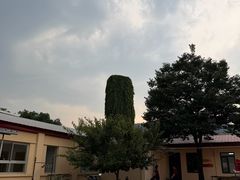 -大鹅岛灶台鱼·铁锅炖(水库路店)