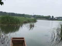 -微山湖红荷湿地景区
