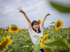 -光明小镇欢乐田园