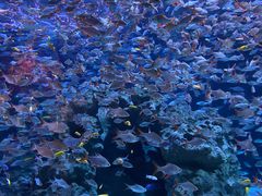 -成都浩海立方海洋公园