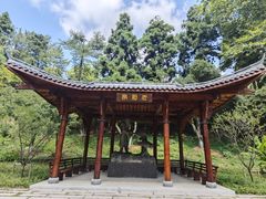 -莫干山风景区