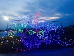 -杭州湾海上花田景区