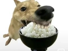 -尚一汤·粤菜海鲜(汇智国际商业中心店)