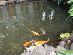 -海南文笔峰盘古文化旅游区