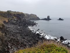 -涉地可支
