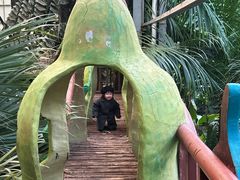 -呀路古热带植物园