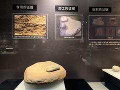 -浙江省博物馆(孤山馆区)