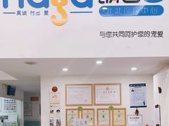 -纳吉亚猫专科动物医院·北北分院