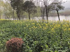 -长广溪湿地公园