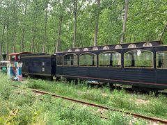 -合肥滨湖国家森林公园