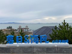-养马岛旅游度假区