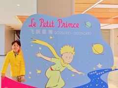 -上海浦东国际机场-T2航站楼