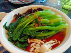 -新白鹿餐厅(虹桥南丰城店)