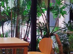 -Soloist 独奏公司(798店)
