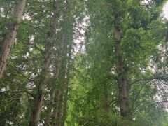 -同里国家湿地公园