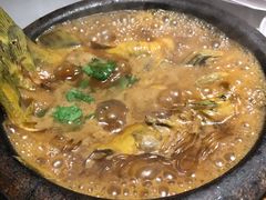 -小放牛炒菜馆(裕华万达店)