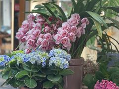 -泉乐坊步行街(烟酒特产平价超市店)