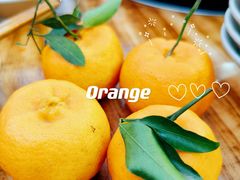 -大龙老火锅·总店(龙头寺店)