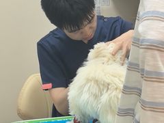 -芭比堂动物医院·CT·微创中心(新顺分院)