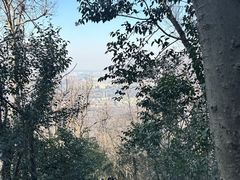 -紫金山山顶公园