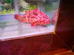 -Century Seafood Restaurant Manila