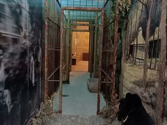 -北京动物园-畅观楼