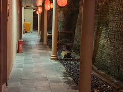 -观澜山水田园