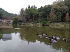 -云溪植物园